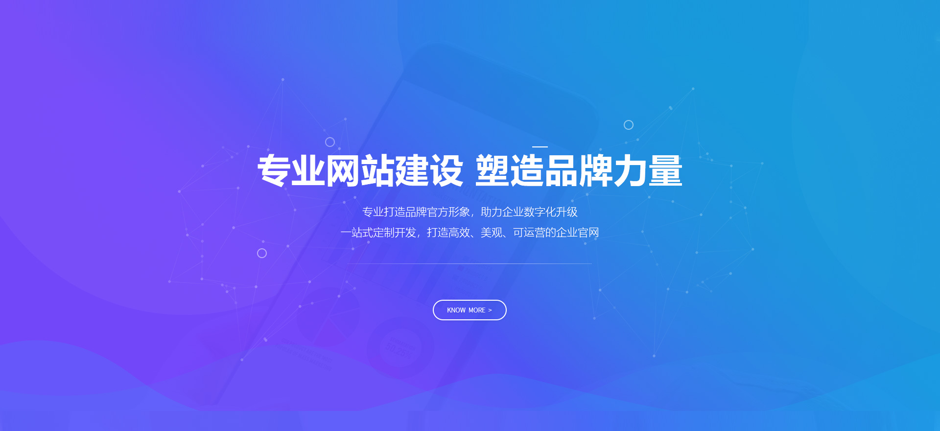 澄江建站-专业网站建设 塑造品牌力量