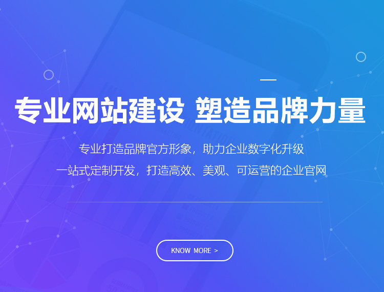 澄江建站-专业网站建设 塑造品牌力量